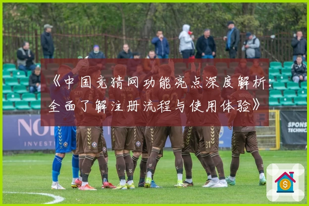 《中国竞猜网功能亮点深度解析：全面了解注册流程与使用体验》