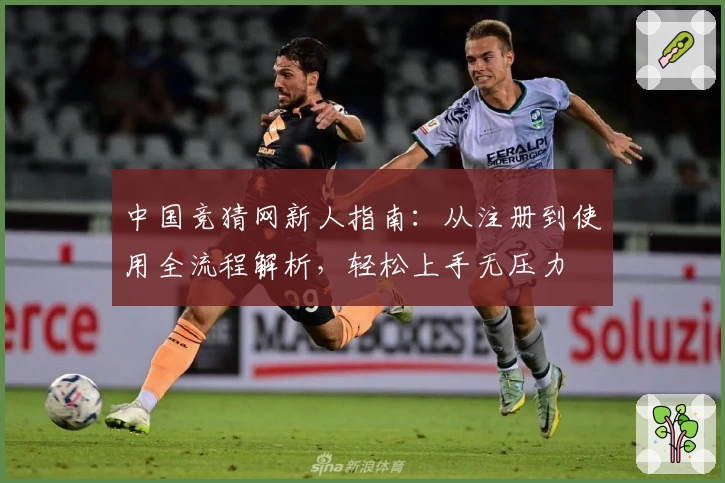 中国竞猜网新人指南：从注册到使用全流程解析，轻松上手无压力